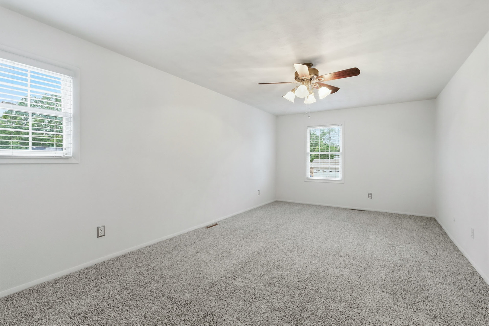 Gallery Image 19