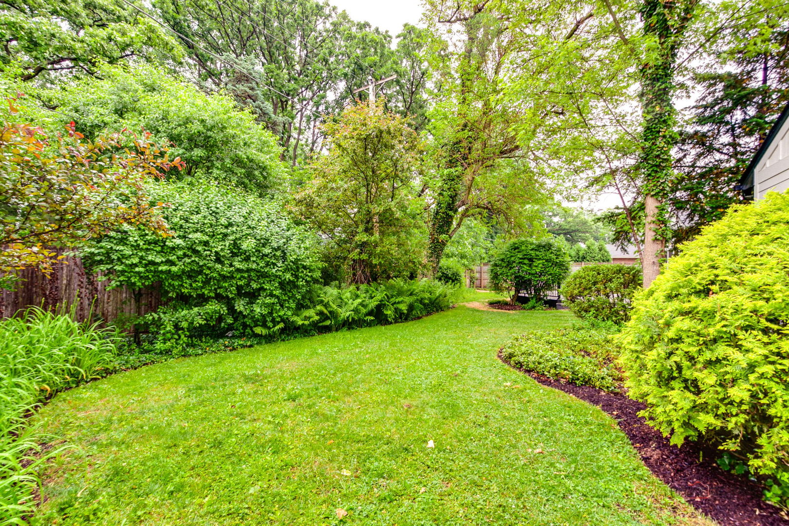 Gallery Image 48
