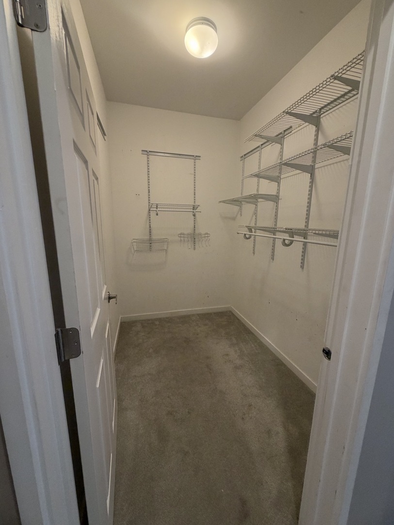 Gallery Image 16