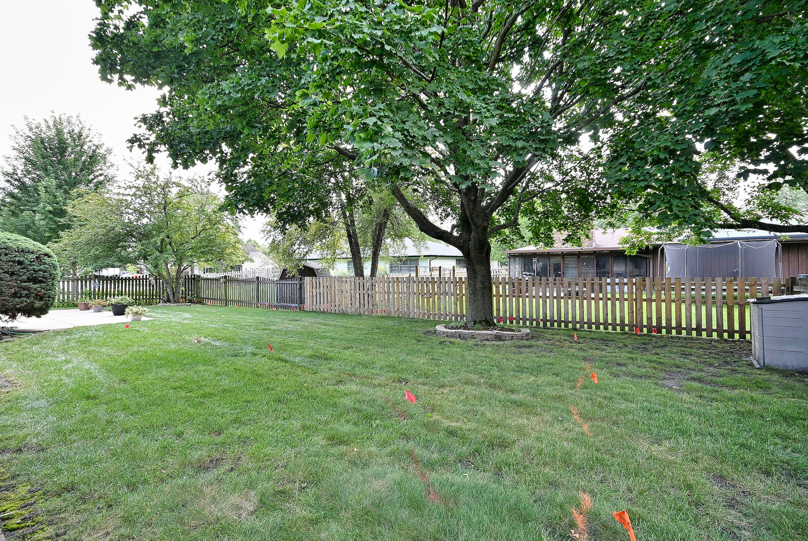 Gallery Image 32