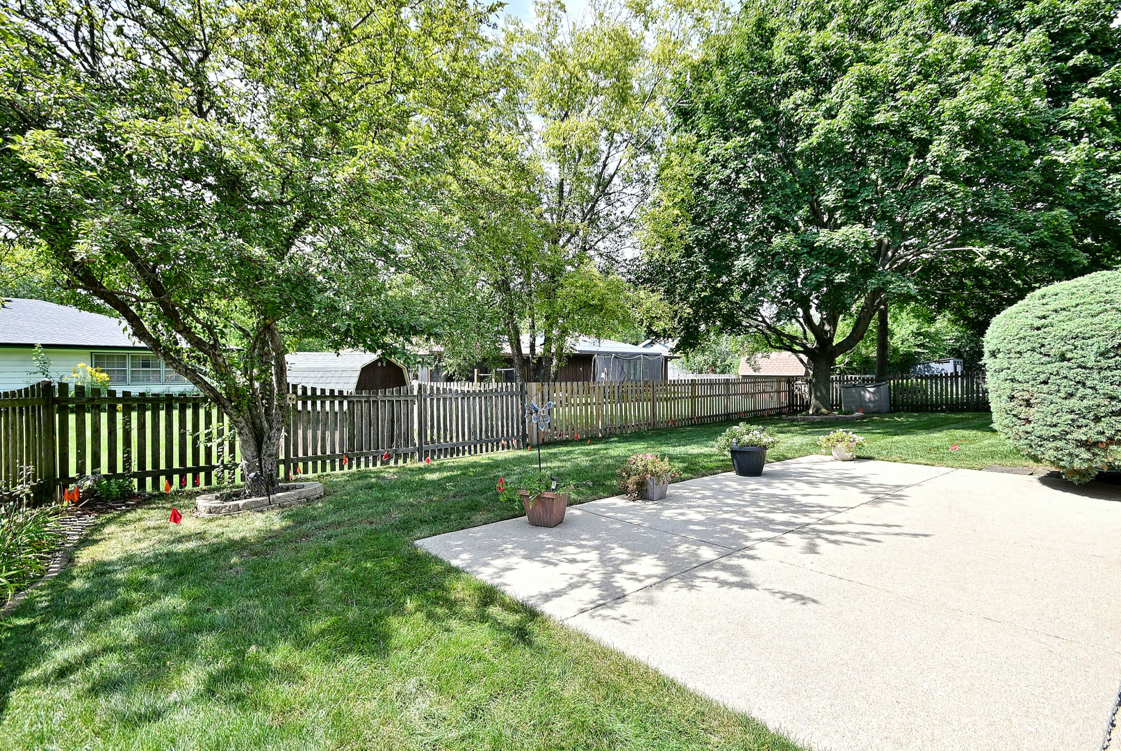 Gallery Image 38