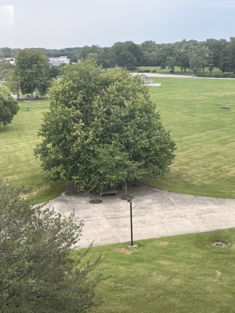 Gallery Image 26