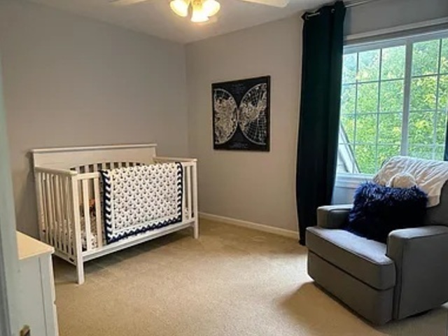 Gallery Image 25