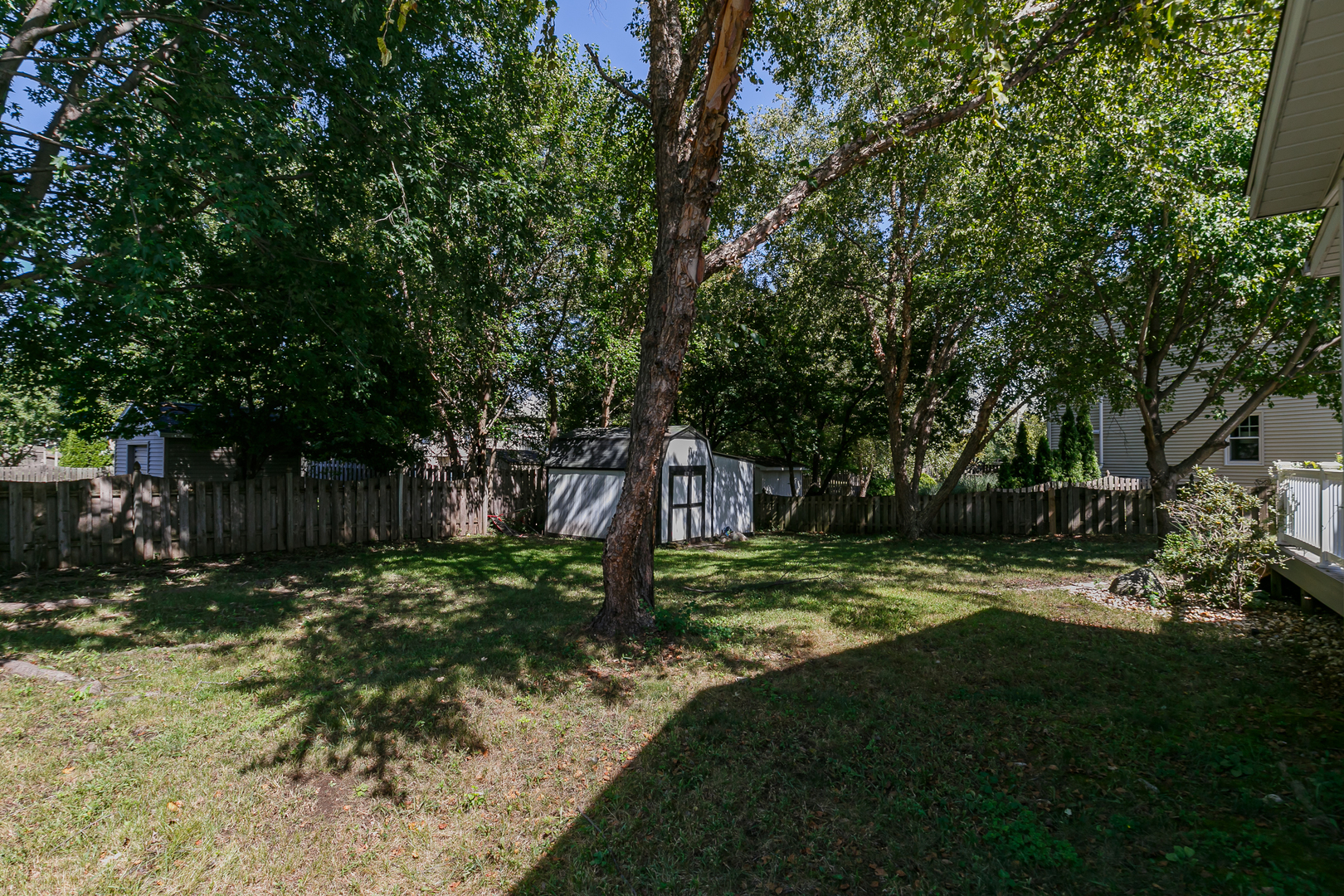 Gallery Image 39