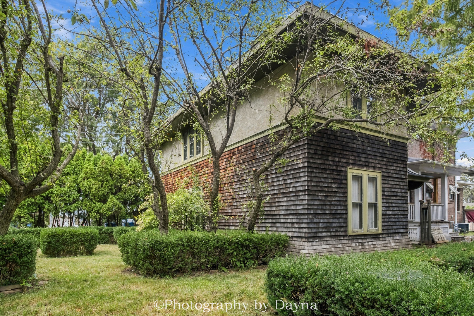 Gallery Image 41
