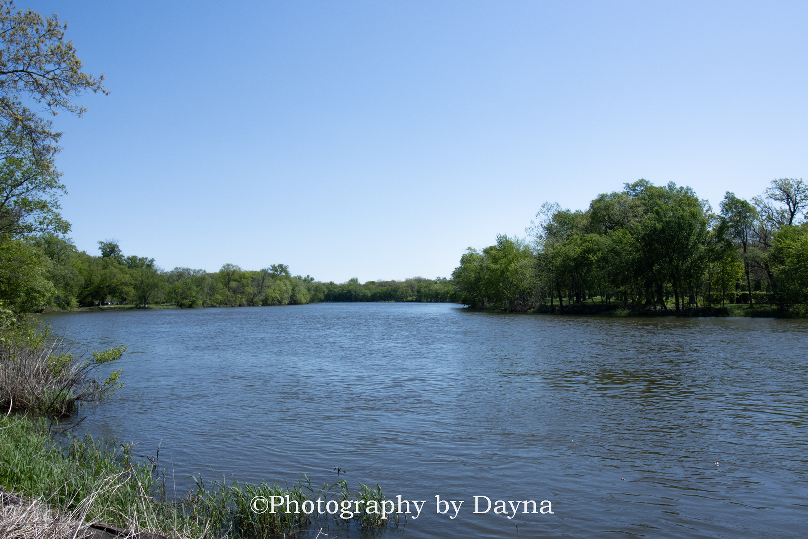 Gallery Image 32