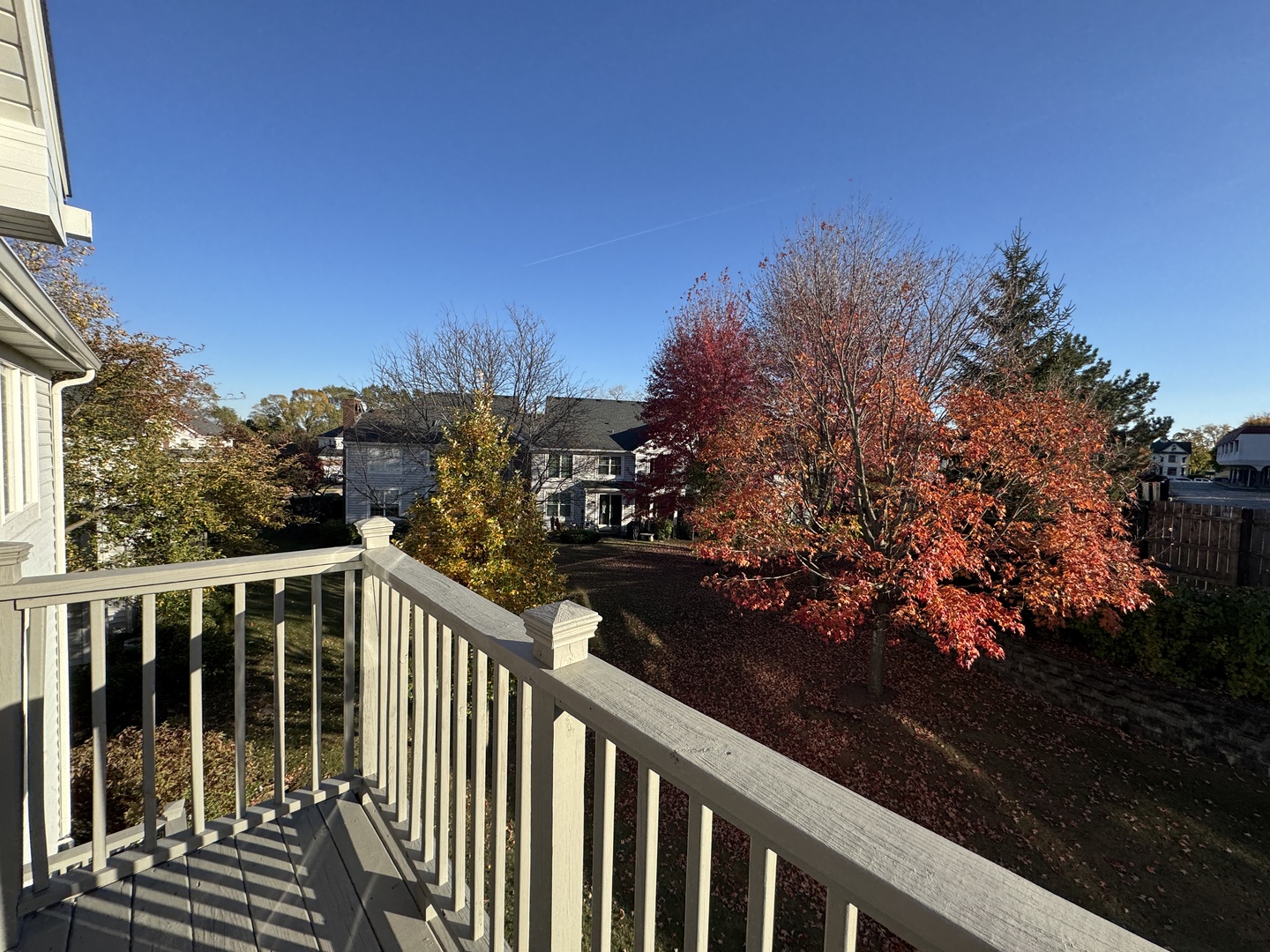 Gallery Image 15