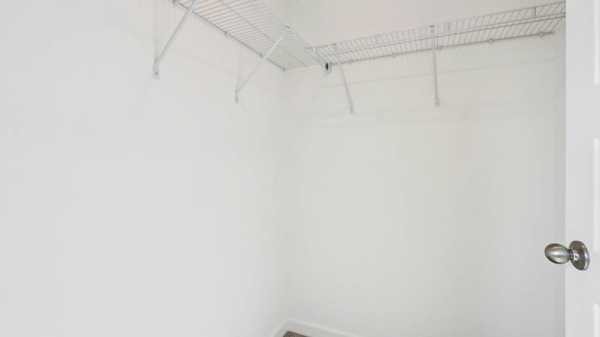 Gallery Image 19