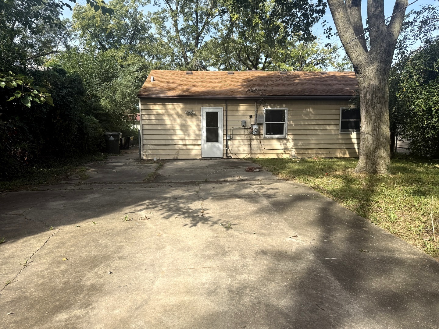 Gallery Image 8