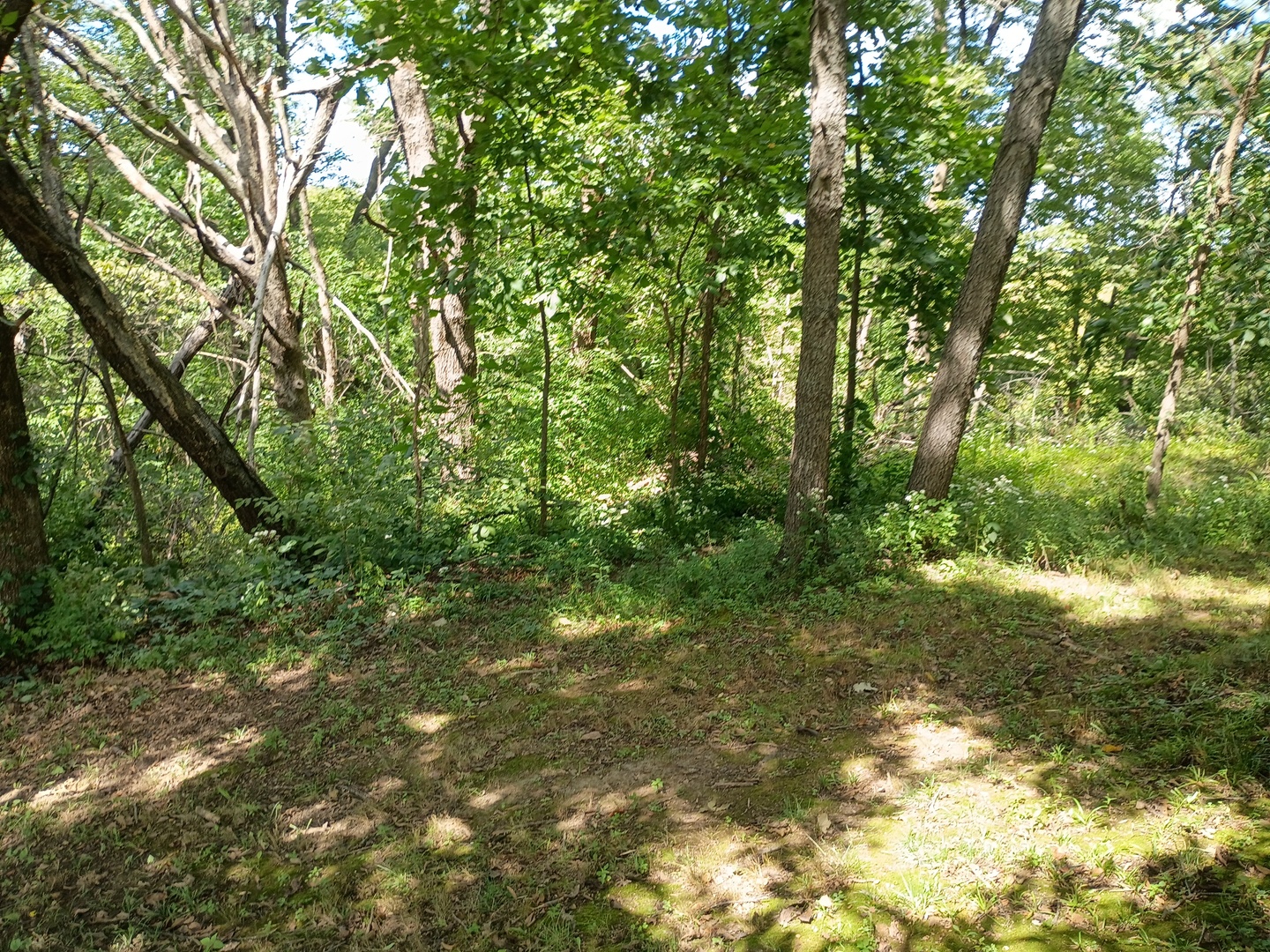 Gallery Image 16