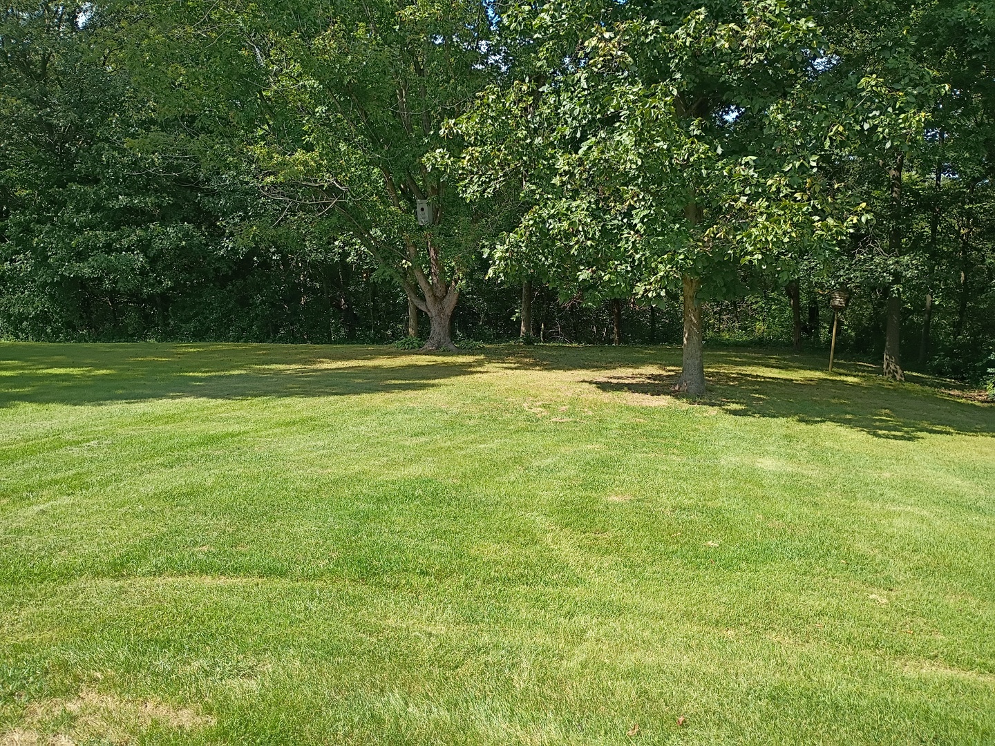 Gallery Image 17