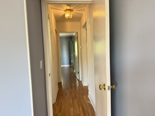 Gallery Image 19
