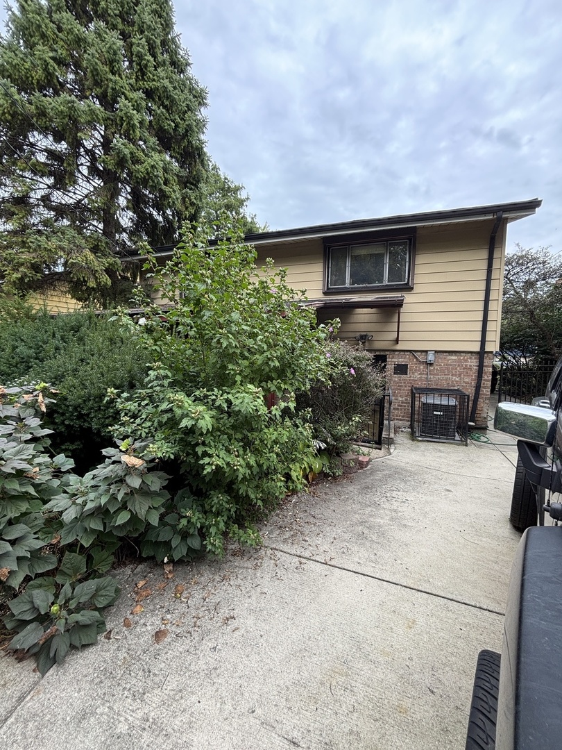 Gallery Image 17