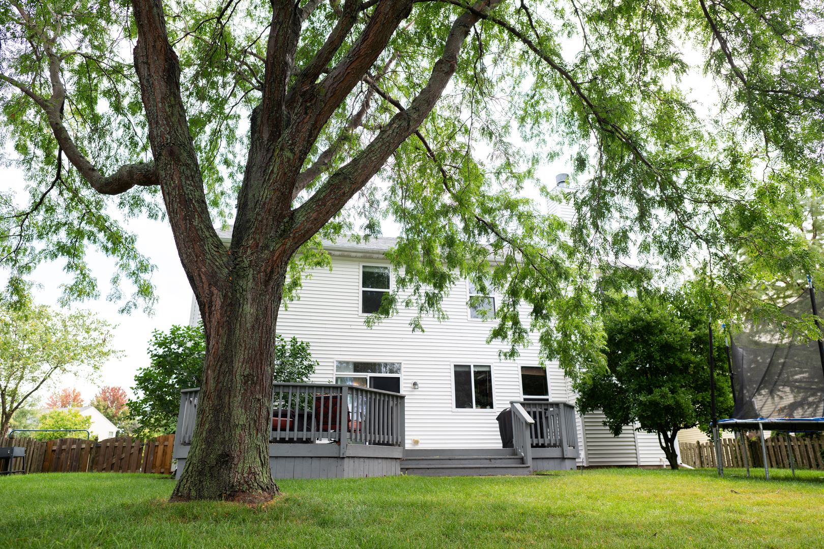Gallery Image 35