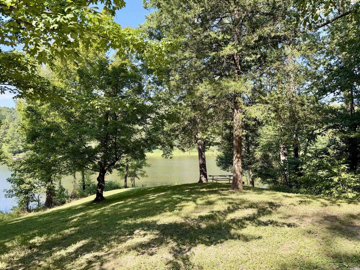 Gallery Image 57