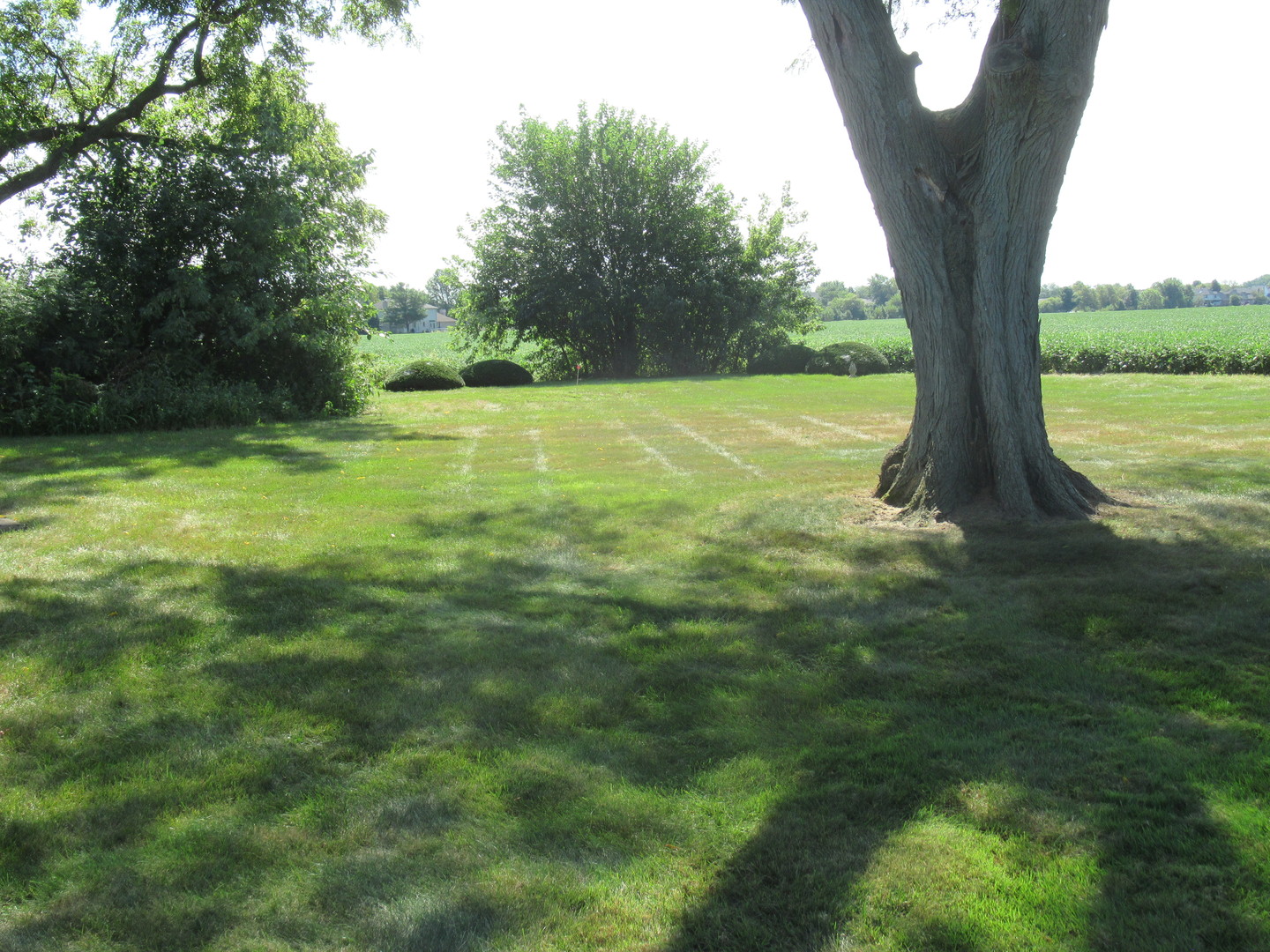 Gallery Image 19