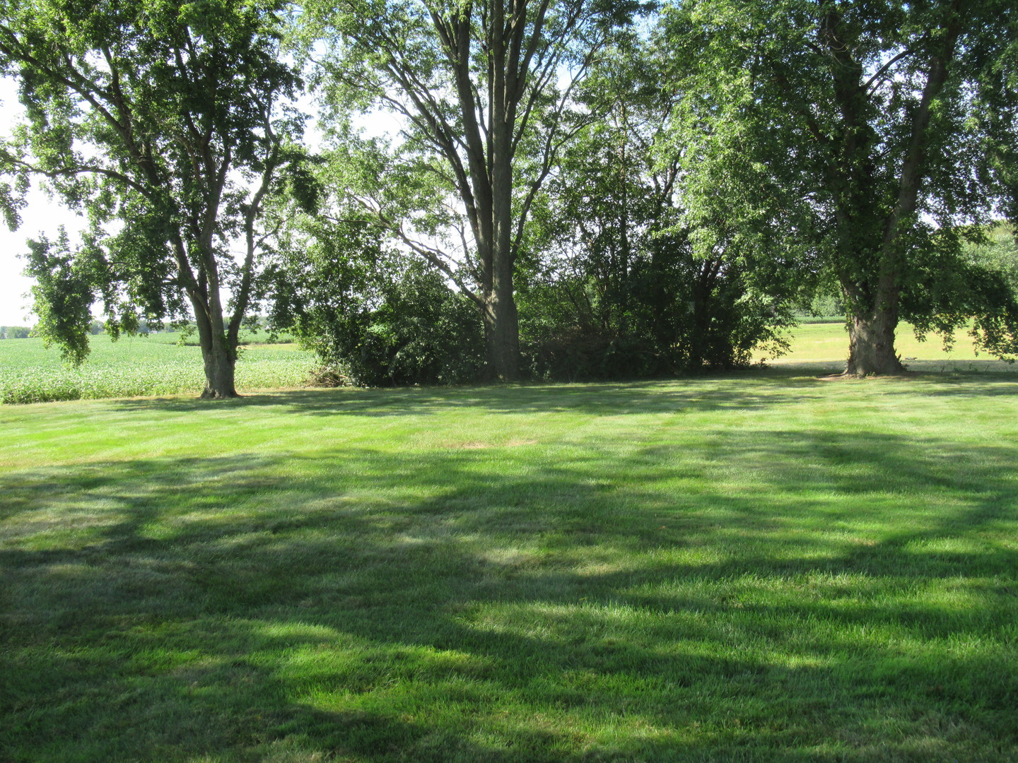 Gallery Image 18