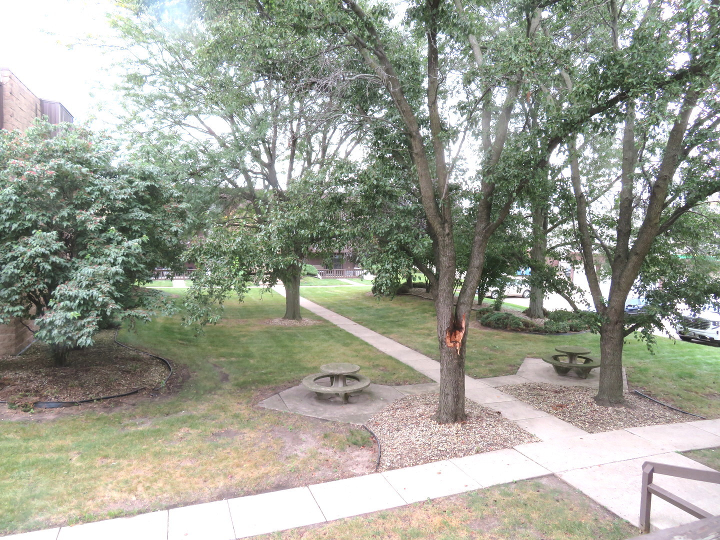 Gallery Image 16