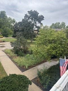 Gallery Image 16