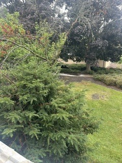 Gallery Image 17