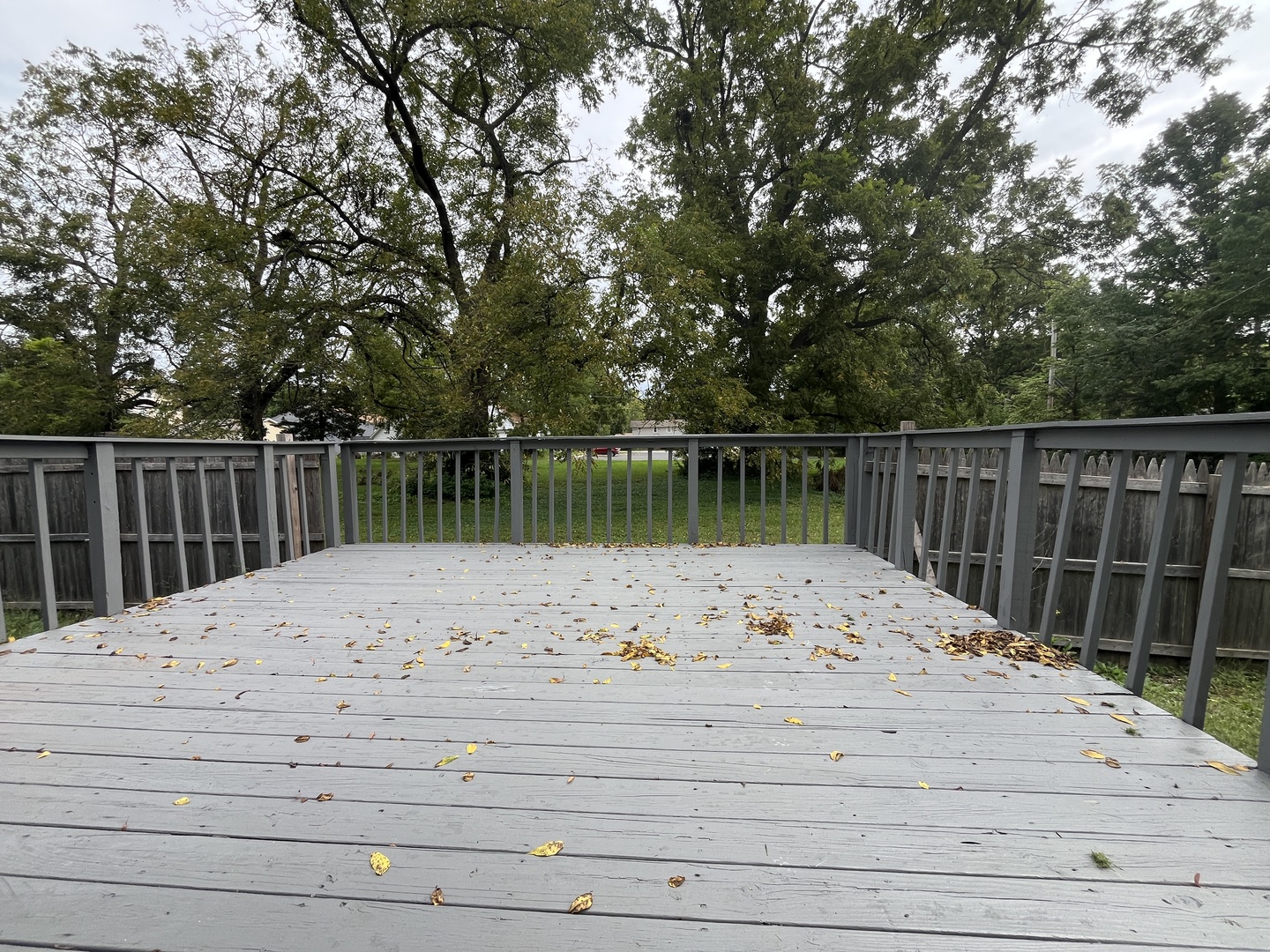 Gallery Image 15