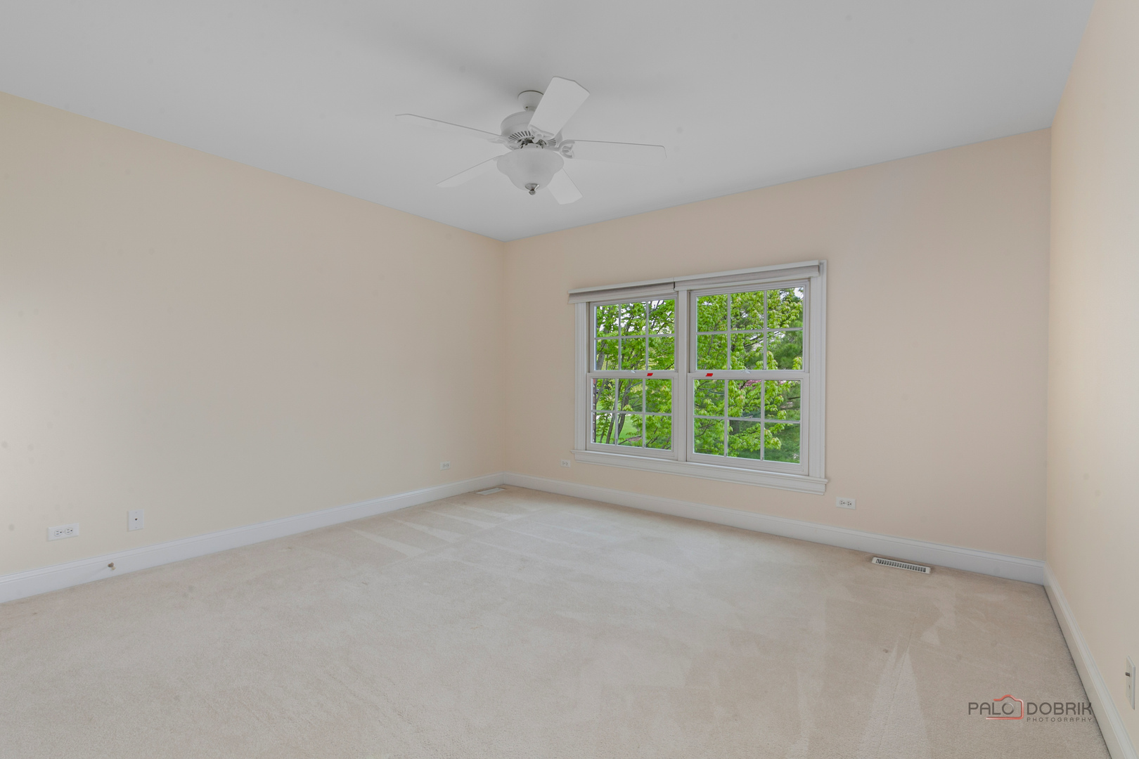 Gallery Image 18