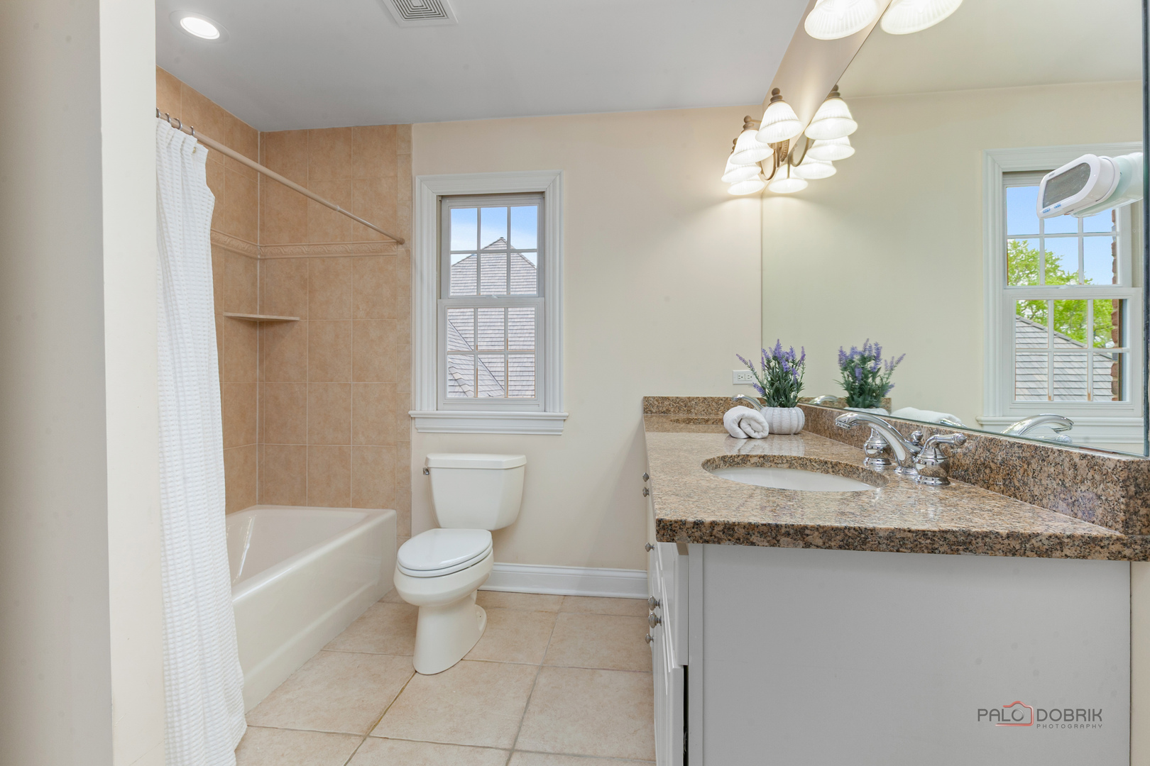 Gallery Image 17