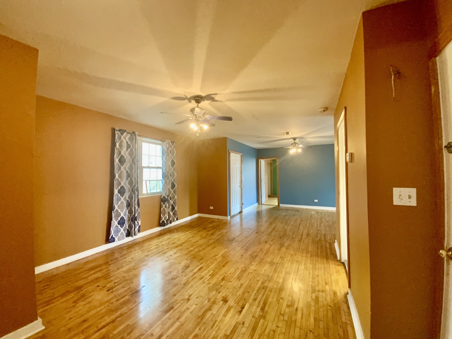 Gallery Image 7