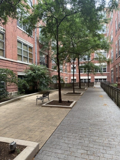 Gallery Image 12