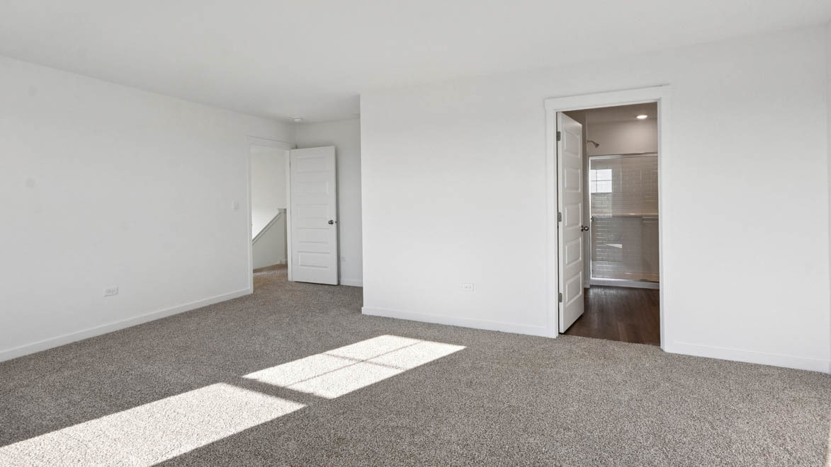 Gallery Image 19