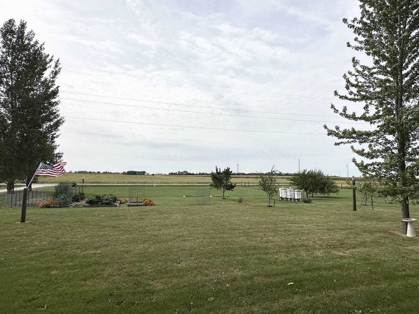 Gallery Image 65