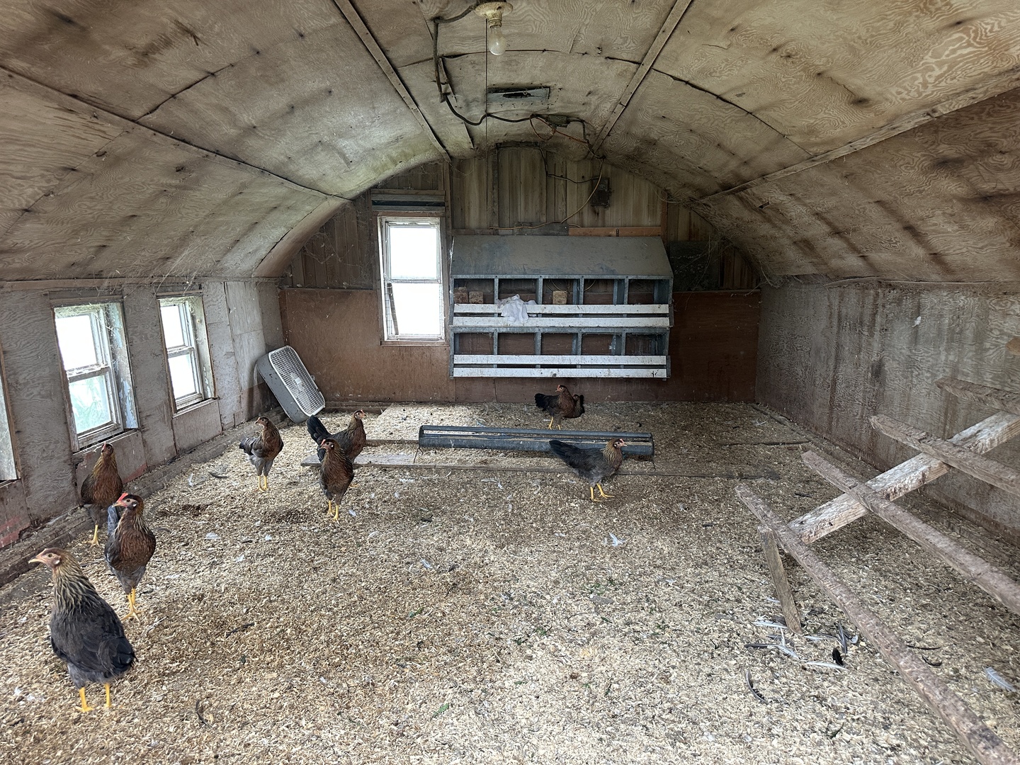 Gallery Image 53
