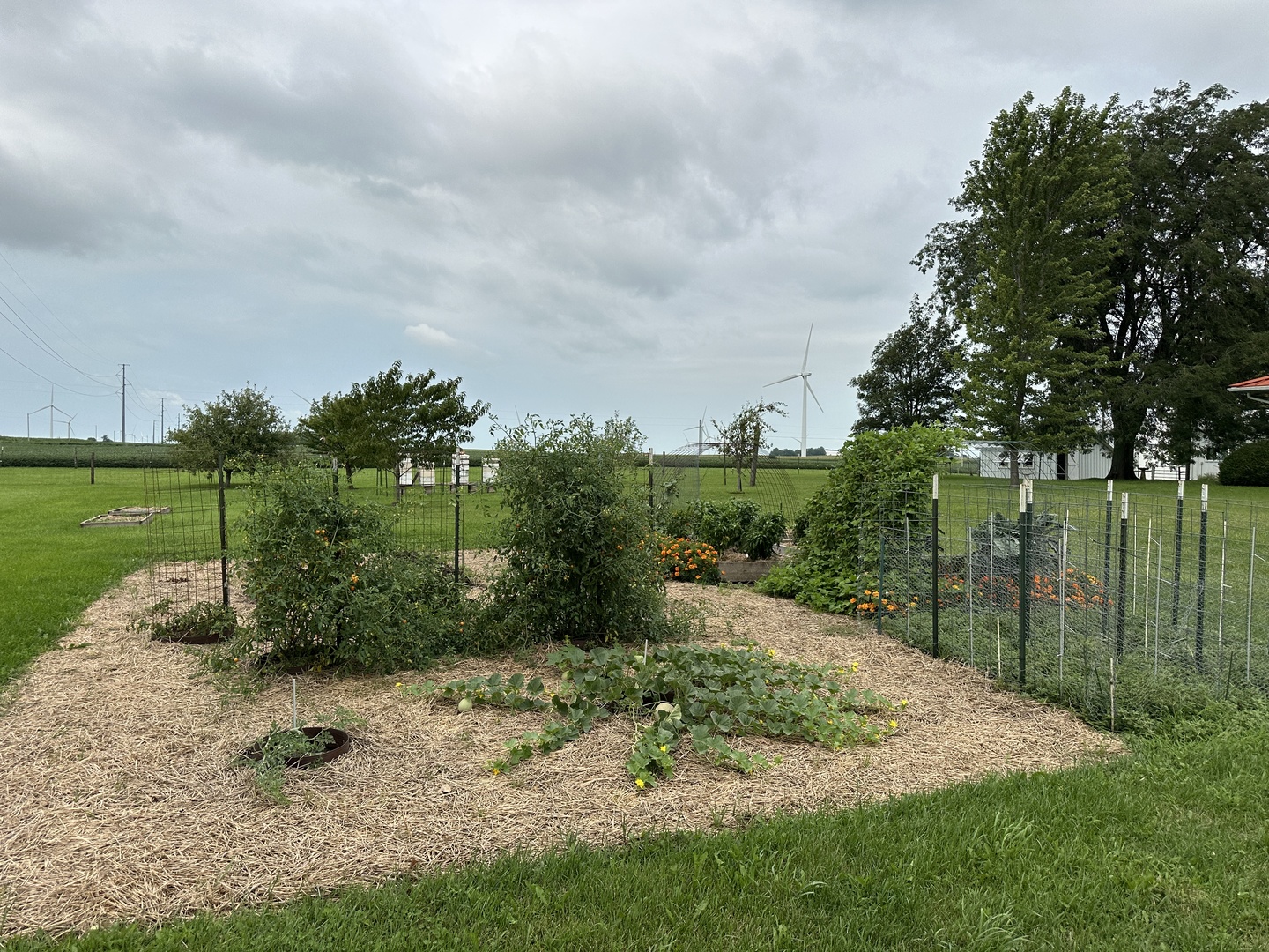 Gallery Image 61