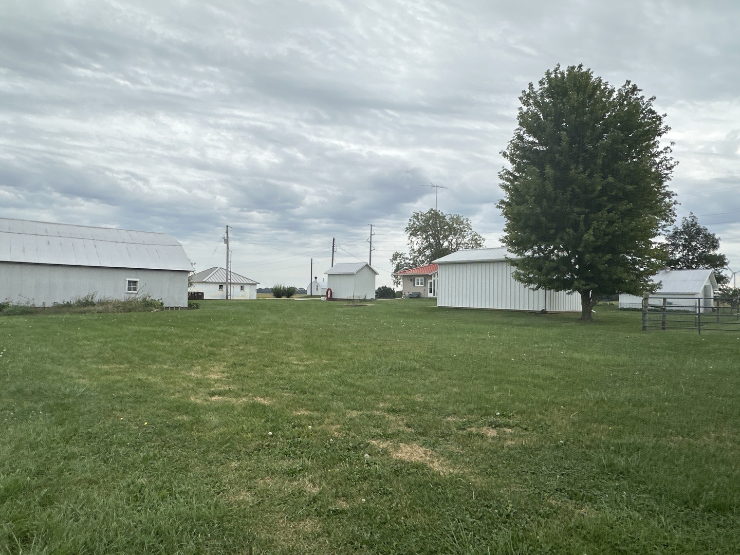 Gallery Image 41