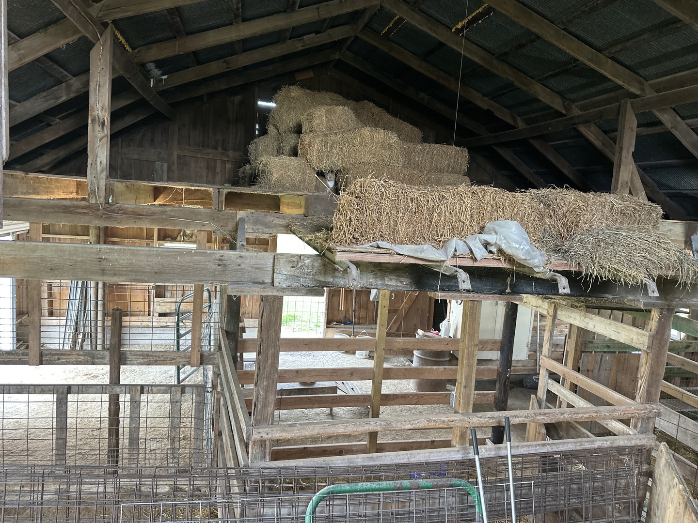 Gallery Image 49