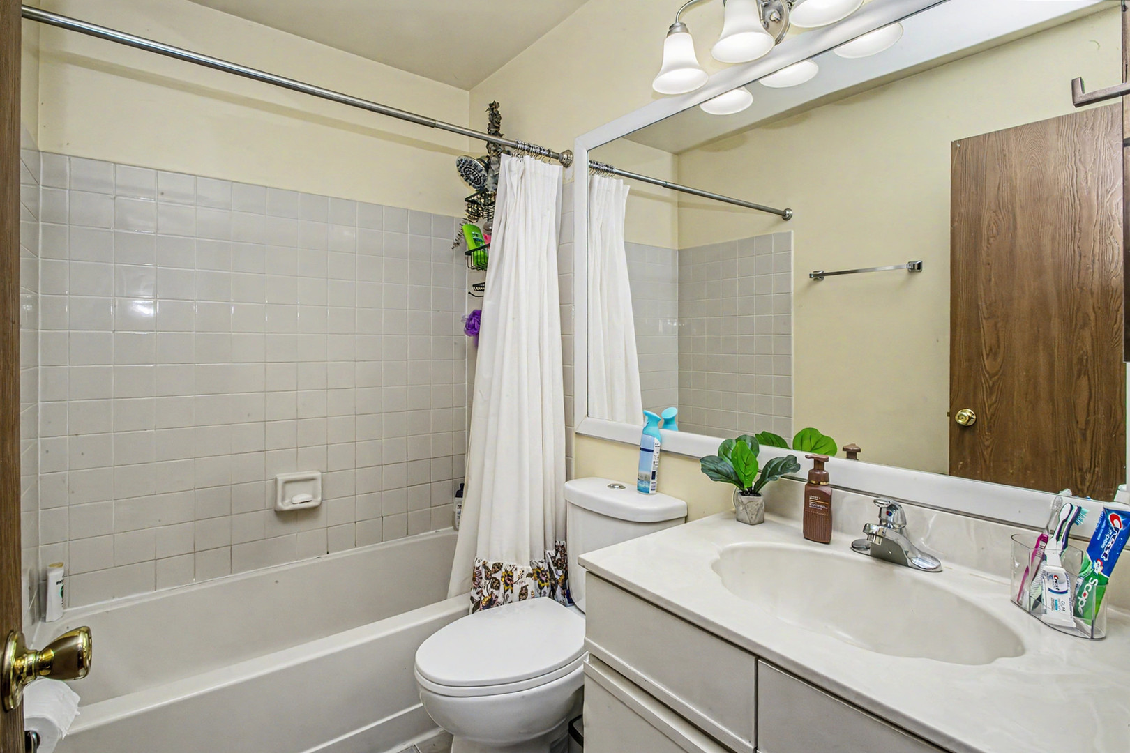 Gallery Image 9