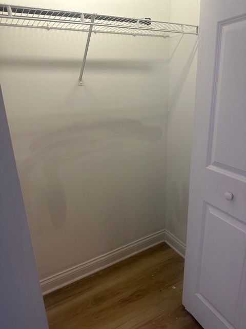 Gallery Image 20