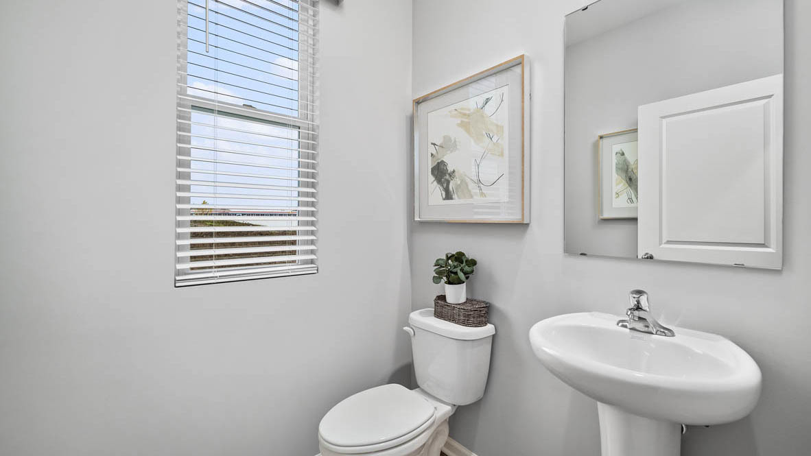 Gallery Image 12
