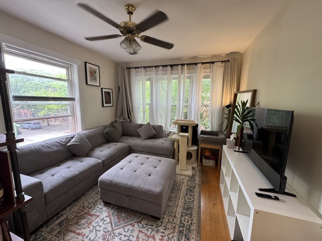 Gallery Image 10