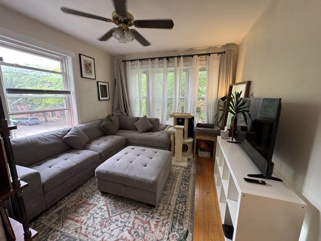 Gallery Image 12
