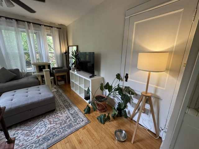 Gallery Image 8