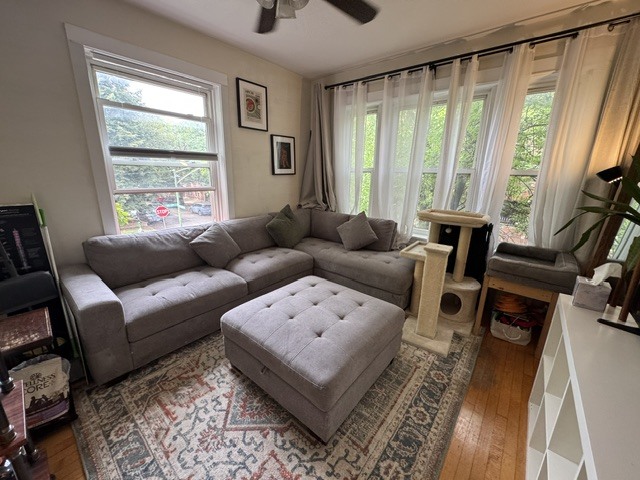 Gallery Image 13