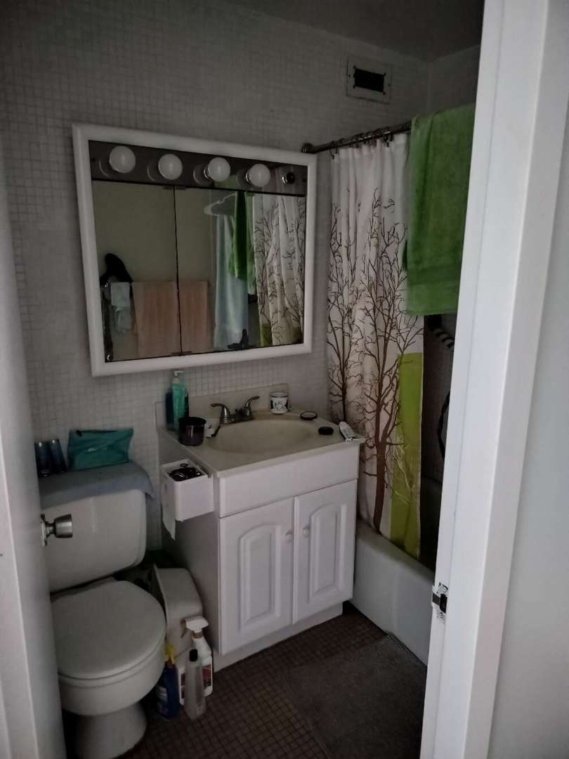 Gallery Image 8