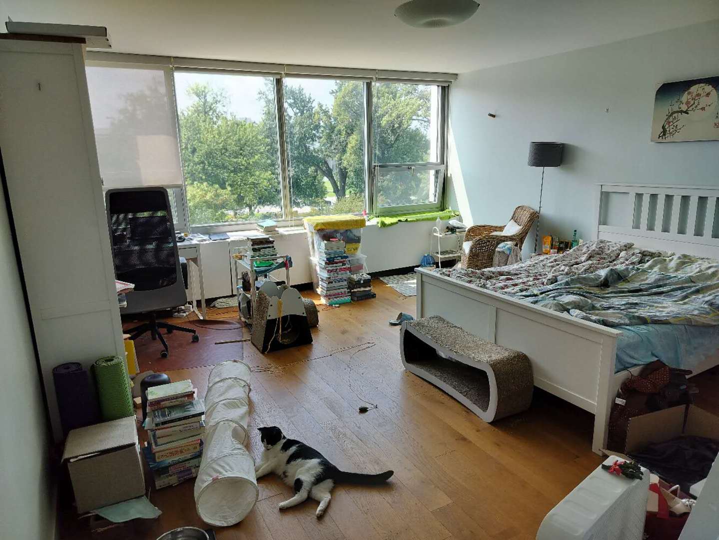 Gallery Image 7