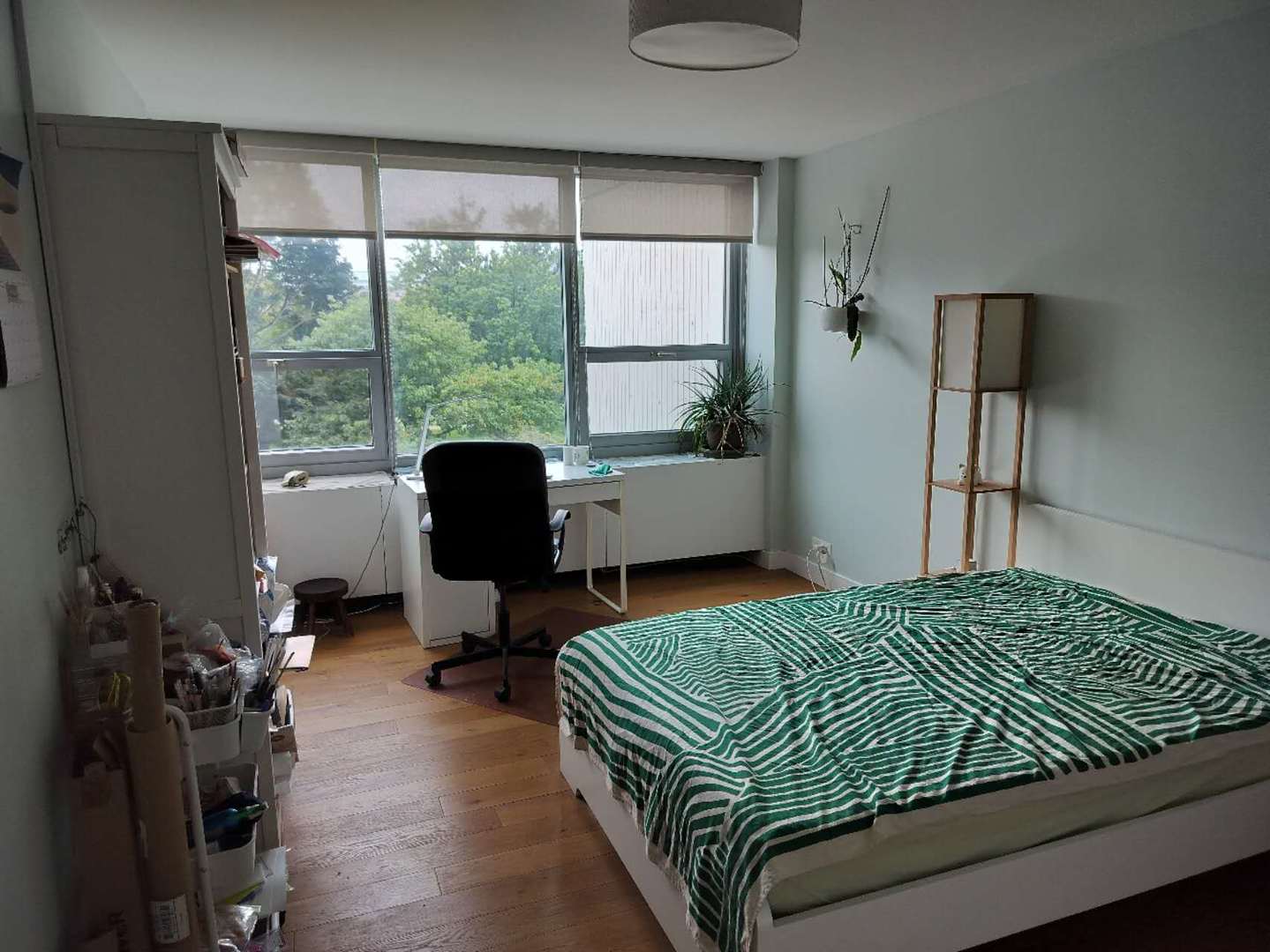 Gallery Image 6