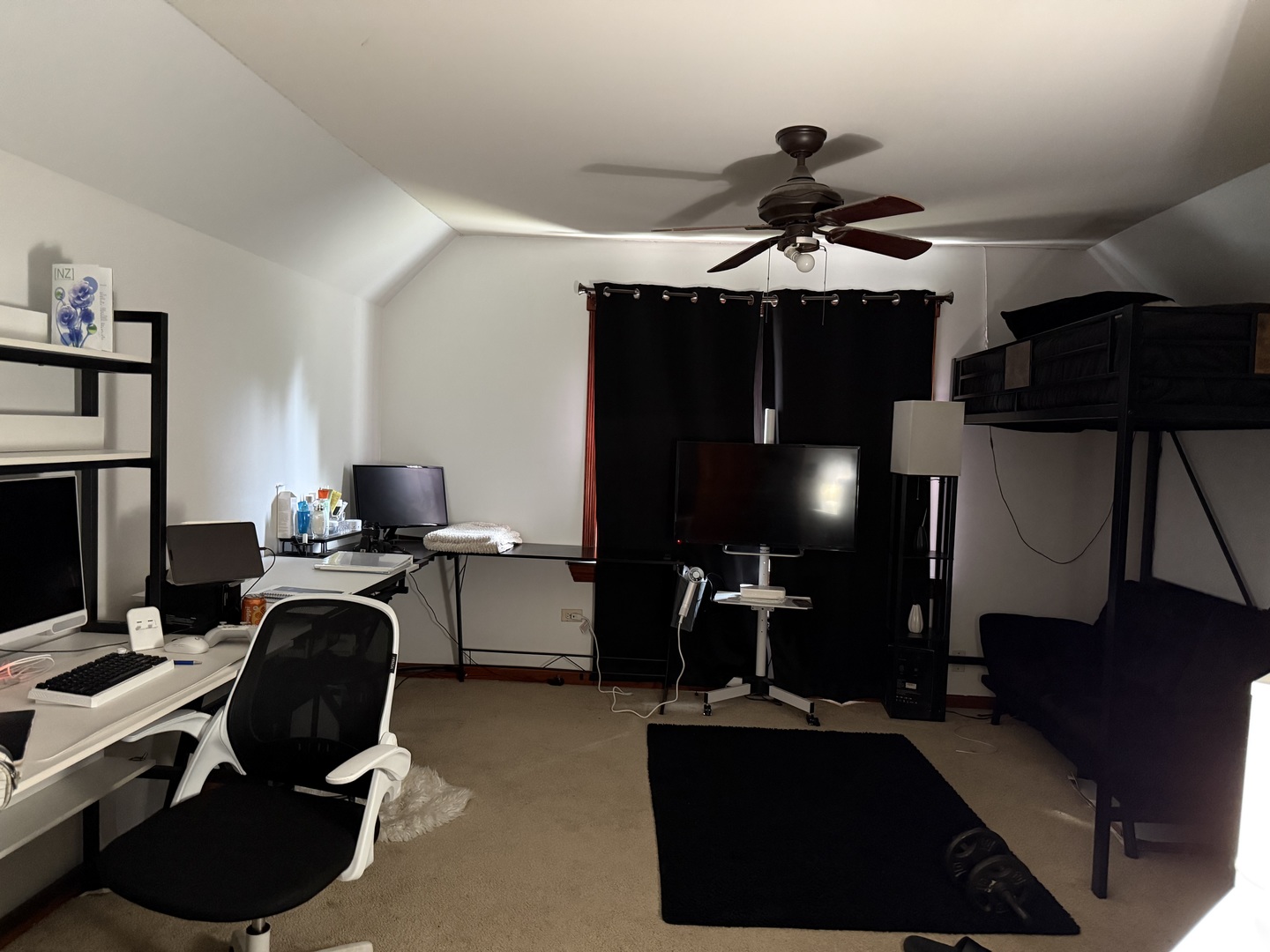 Gallery Image 7
