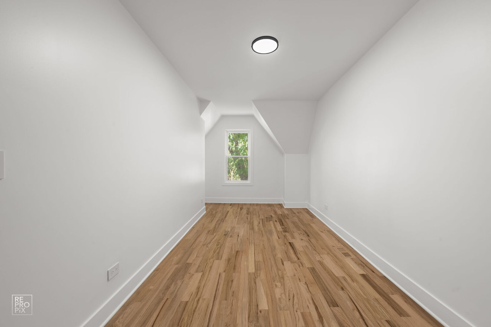 Gallery Image 19