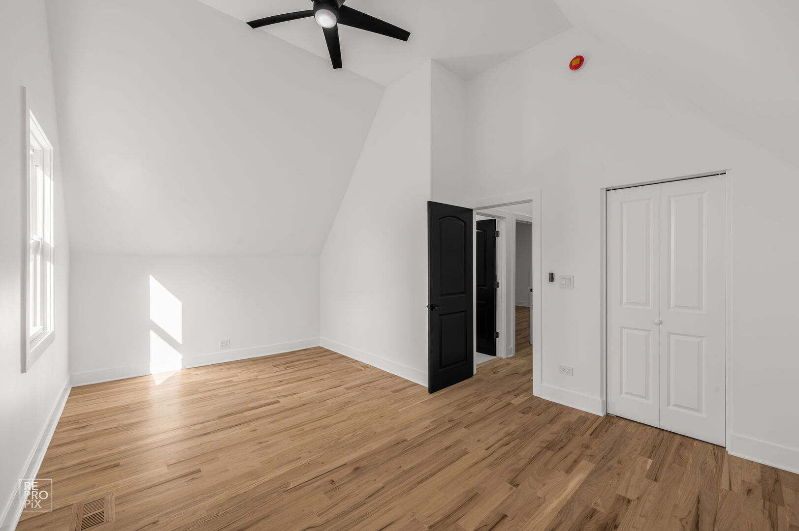 Gallery Image 16