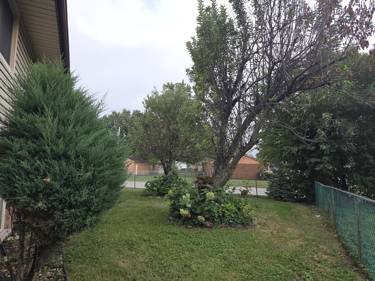 Gallery Image 13