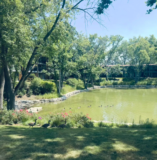 Gallery Image 15